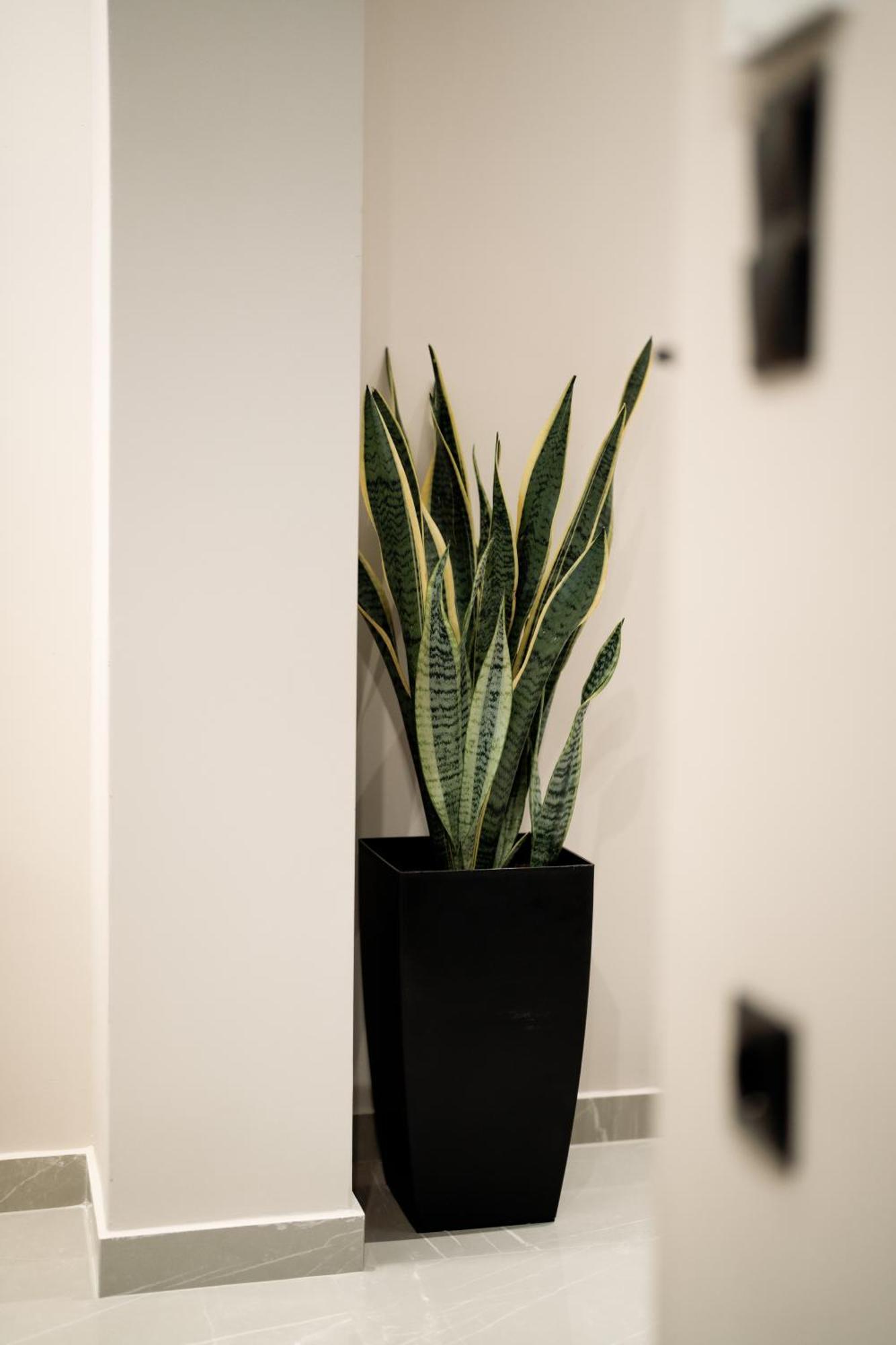 Apartament Elegance Lofts Kawala Zewnętrze zdjęcie